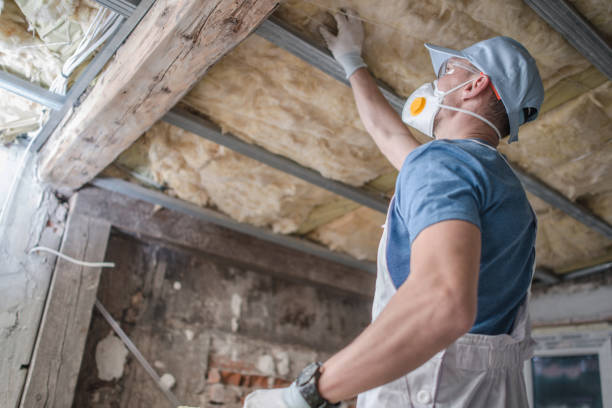 Best Fiberglass Insulation in Gladstone, MI